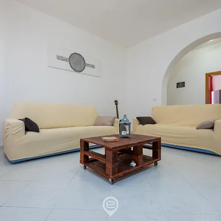 Apartment Seashell